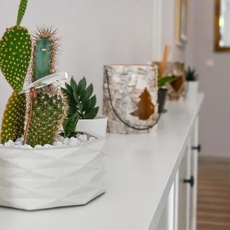 Appartement Maricic *